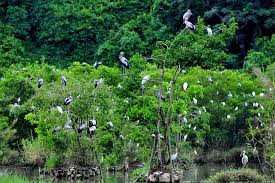 Thung Nham Bird Garden-Ninh Binh